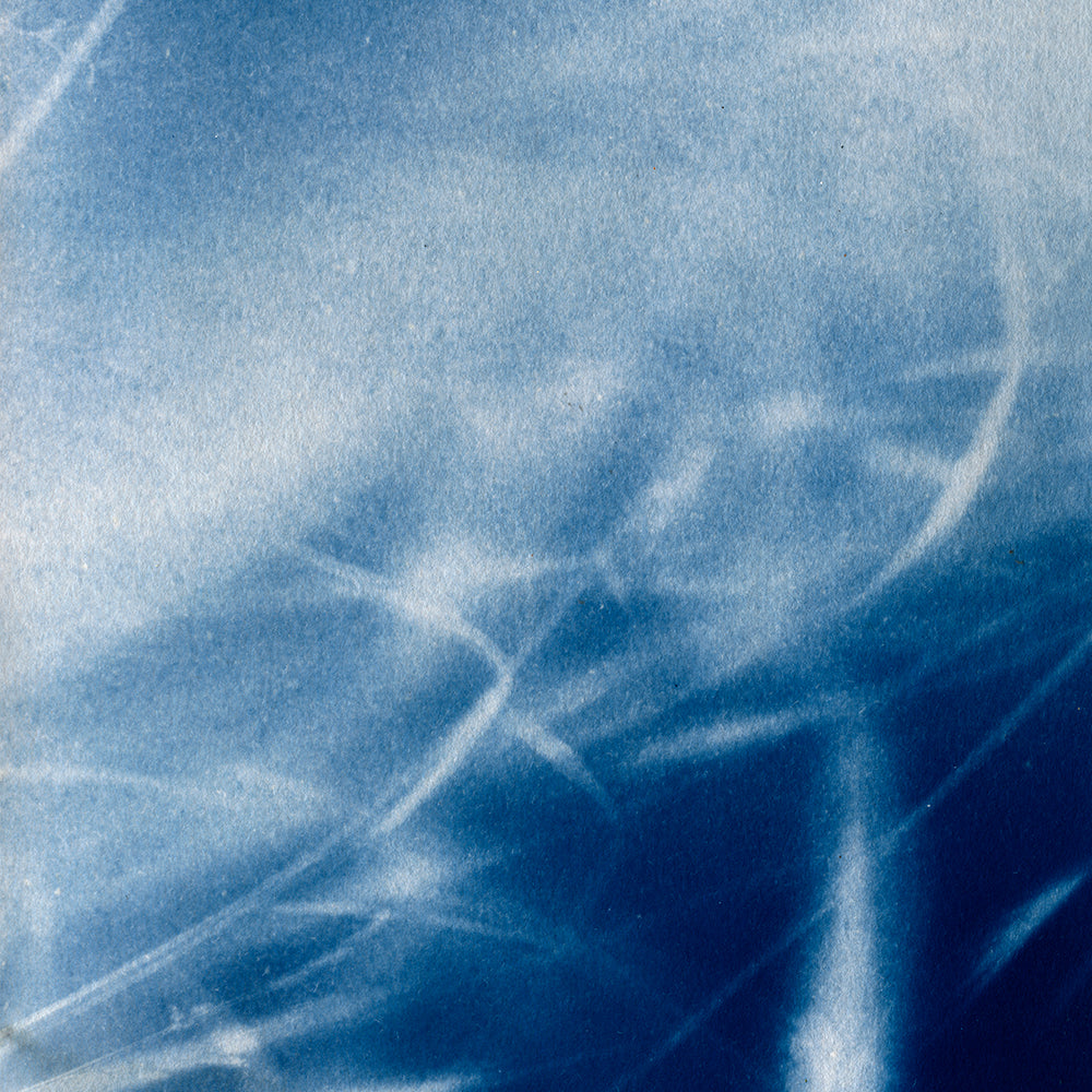 Le Cyanotype