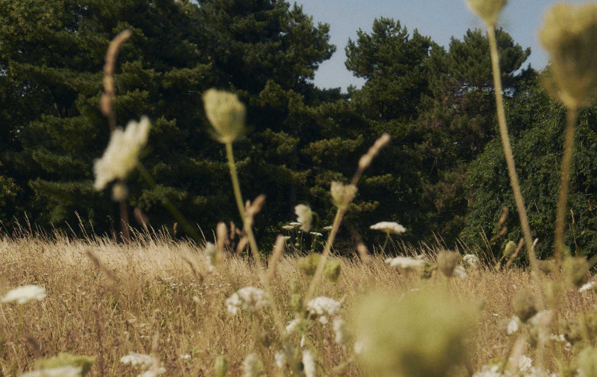 Lookbook Printemps-Été 2023